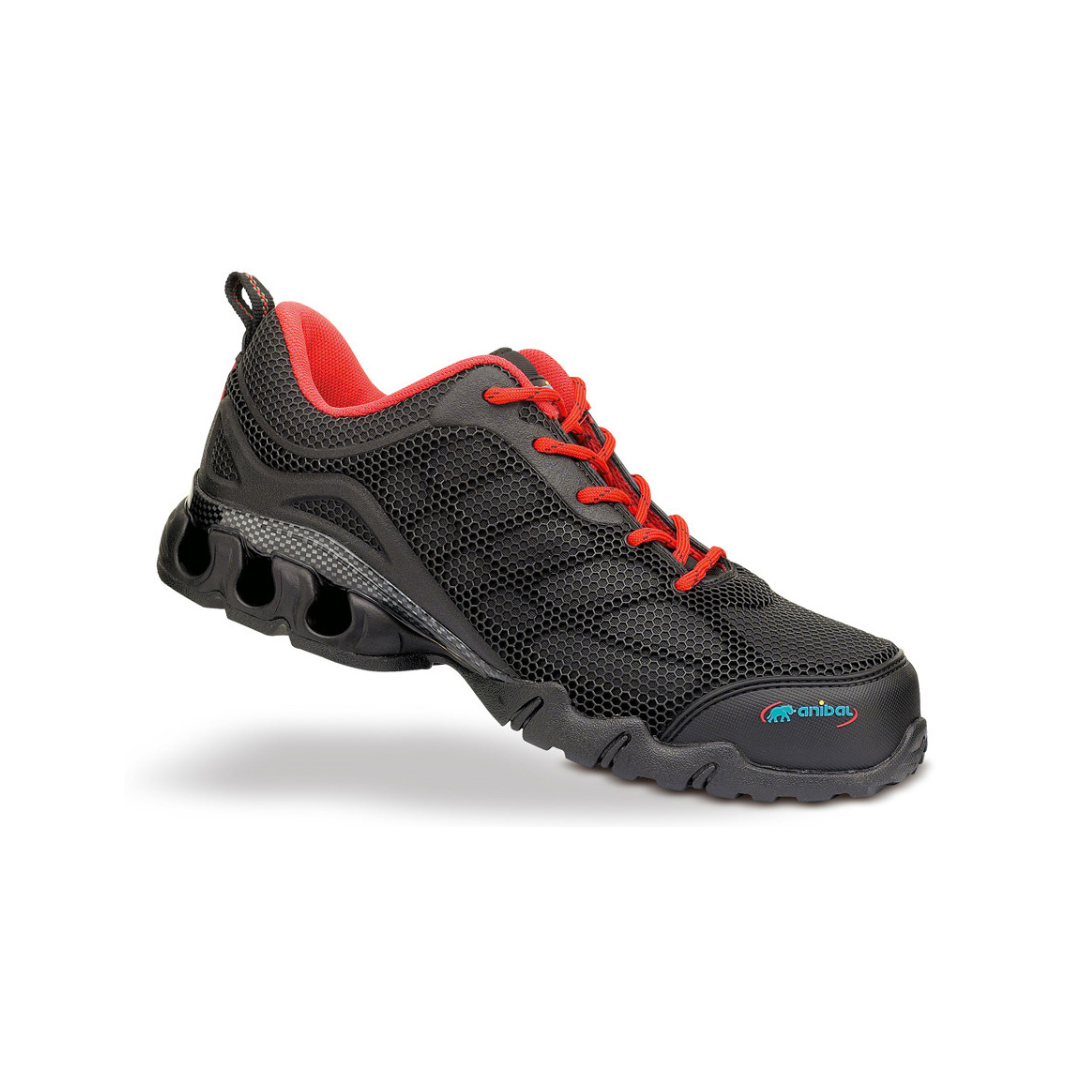 Zapato Anibal Kronos 1688ZDTNPNE