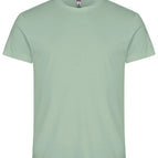 Sage Green / XS