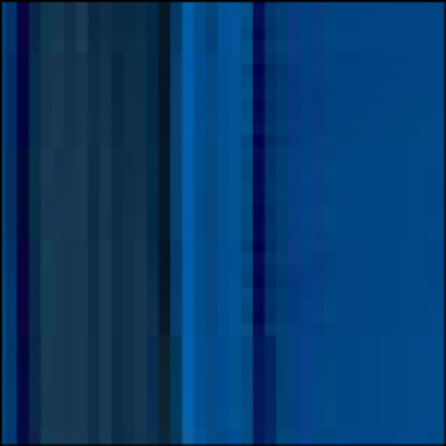 Prime Softshell Vest