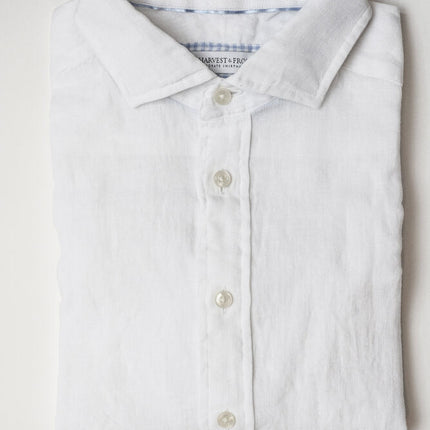INDIGO BOW 33 Regular