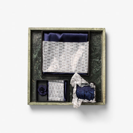 Giftbox Solid Paisley Tie
