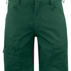 Forest Green / C44