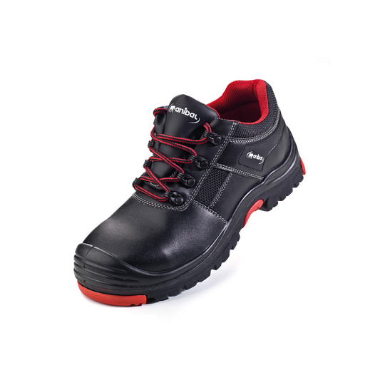 Zapato Anibal Adriano 1688ZGNRNE