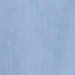 CAMISA MUJER RAYA FABIOLA