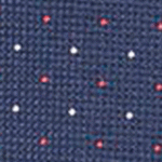 CORBATA SIN NUDO DE PALA ESTRECHA PUNTOS