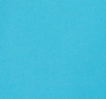 BLUSA MUJER BUHO OWL